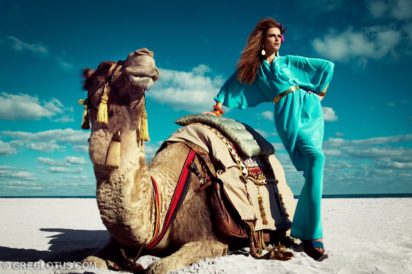 Camel Story 6